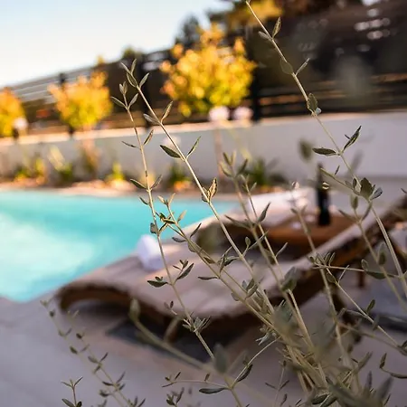 Casa Olive Apartment
